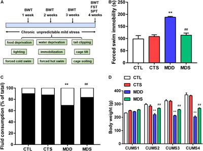 The Reversal Effect of Sigma-1 Receptor (S1R) Agonist, SA4503, on Atrial Fibrillation After Depression and Its Underlying Mechanism